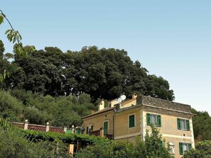 Sky, Plant, Window, Building, Tree, Natural Landscape, House, Rural Area, Grass, Shrub