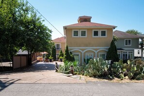 DRIVEWAY AND FRONT YARD