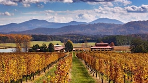 Afton Mountain Vineyard