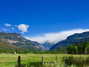 Feast on the greens, blues, and wildlife.