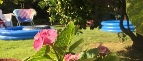 il giardino dove i piccoli ospiti possono anche rilassarsi nelle piccole piscine