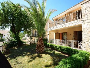 Plant, Building, Sky, Window, Tree, Vegetation, Land Lot, Arecales, Residential Area, Grass