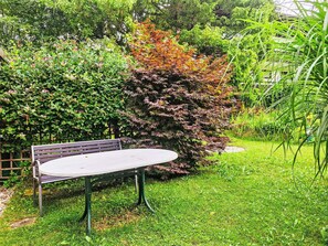Plant, Plant Community, Furniture, Natural Landscape, Outdoor Furniture, Landscape, Grass, Woody Plant, Shrub, Groundcover