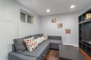 tv room with convertible sofa bed 