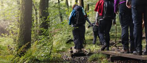 Hiking