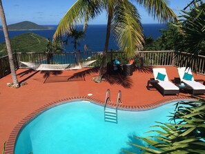 Large kidney-shaped pool and deck with gorgeous backdrop! Hammock between palms.