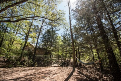 Log Cabin in Woods W/Trail & Scavenger Hunt Wood Fireplace, Lindale Canton Tyler