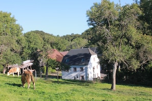 Boendeområde