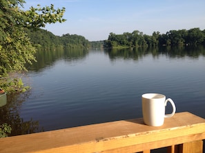 Take your morning coffee to the dock with a book and listen to the fish jumping. 