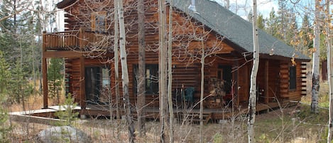 View near driveway after leaves have fallen