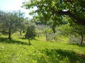 Giardino, parco