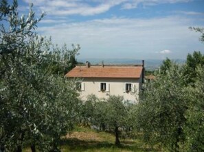 Overview