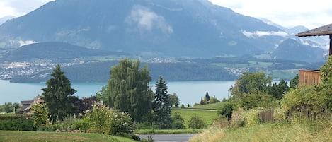 Vista dalla struttura