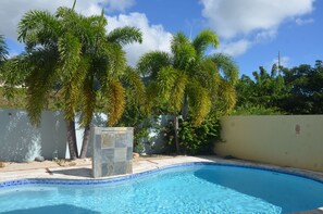 Gorgeous Hotel pool