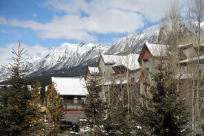 Gorgeous views of the Canadian Rockies from your living room and bedroom