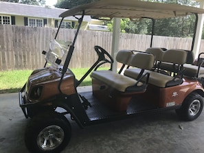 6 Person Golf Cart