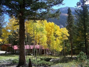 View of cabin and Mt Antero along with standalone laundry cabin