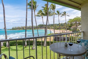 palms in front of the lanai's view of Napili Bay