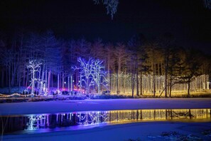 Winter Lights!