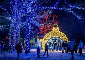Private light show from 6-8pm all winter!