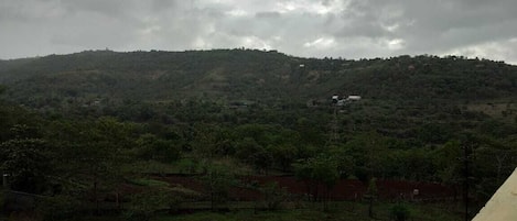 Vista desde la propiedad