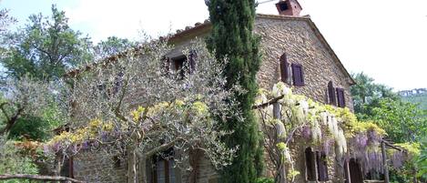 private charming 400 year old home with pool and yard for 7 near  cortona centre