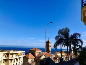 Beach/ocean view