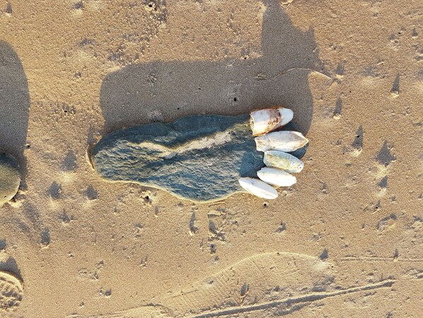 Unclassified image, 1 of 50, button