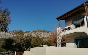 Front view