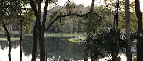 The view from the deck.