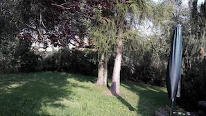 Grundstück