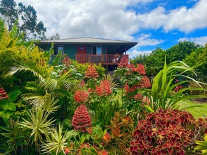 Stay amongst a tropical botanical garden 