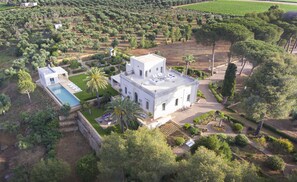 View of the house and its garden and land from above