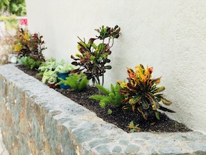 Beautiful entryway with Manicured garden atmosphere