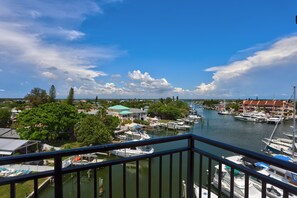 View from the Living Room Balcony