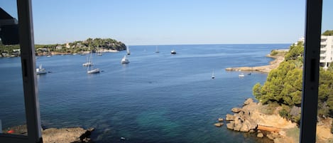 Great sea view from the terrace