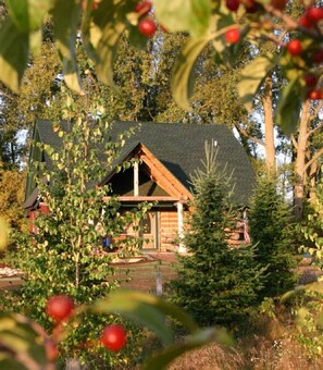 A view of the Riverdance cabin through the trees.