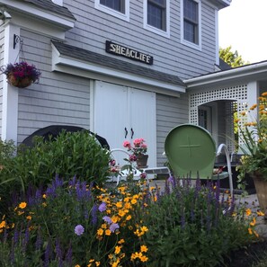 Patio garden area.