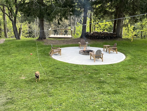  View of back yard from back porch