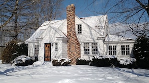 The house in winter