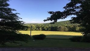 View from cabin.10 acre open field , 34 acres of woods part of my property. 