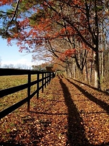 Elegant Cottage on 600 Acre Horse & Cattle Farm