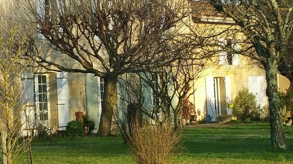 Exteriör