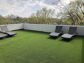 Artificial Turf on the roof, great for corn hole and yard dice. 
