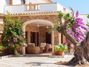 Terrass/Patio