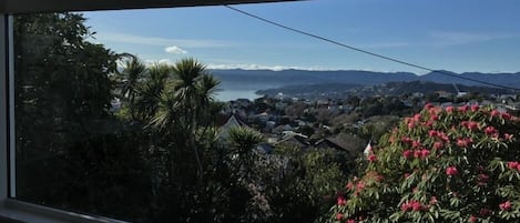View over Wellington
