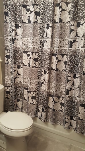 Bathroom with tub and shower doors