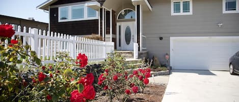 Beautiful rose garden in the front of the house