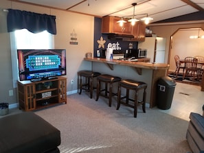 LIVING ROOM/ BAR AREA