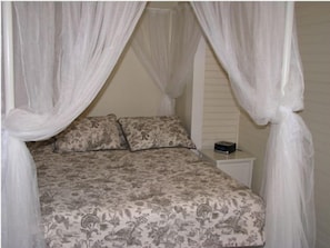 Master bedroom with full size bed and walk in closet and full bath
